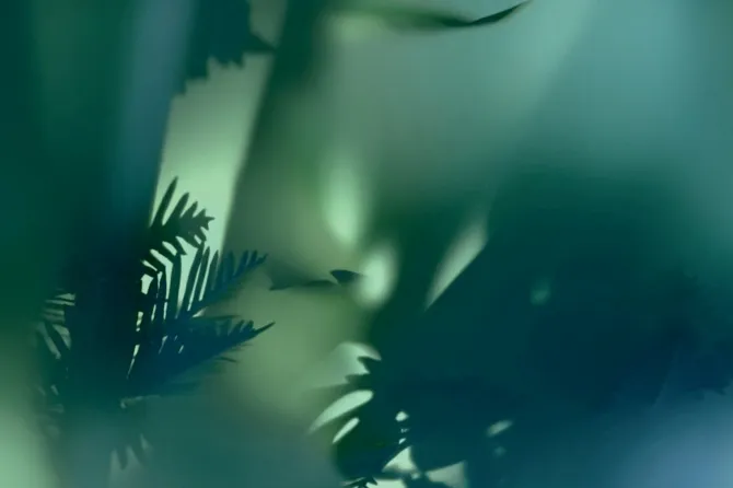 Tapeta Zephyr — dílec B